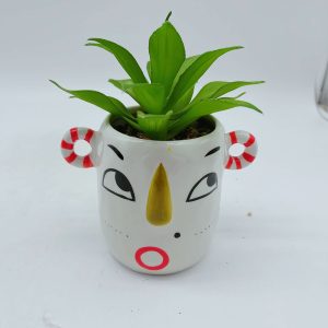 Small Ceramic Face Planter Faux Plant